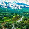 Фото профиля تاجیک تبارخراسانی