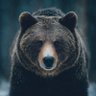 Profilbild von Jordan Black