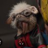 MaryPuppins's profile picture