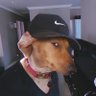 Richard's profile picture