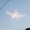 Nubes 的头像