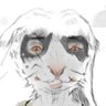 Profilbild von DonutHeart
