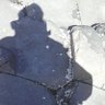 MisterNobody's profile picture
