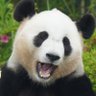 Profilbild von skimoyan
