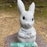 yas 的头像
