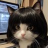 macaroni's profile picture