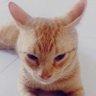 Profilbild von devilwoman crybaby