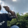 どん底太郎's profile picture