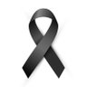 Zero .V's profile picture