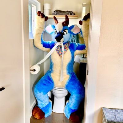 BlueFurryBerry's profile picture