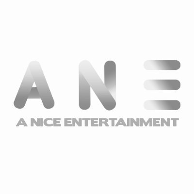 A Nice Entertainment's profile picture
