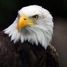 Фото профиля 🇺🇸