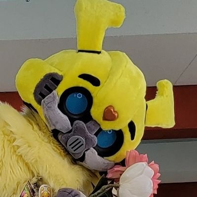 MassSeagulls's profile picture