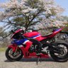島田 浩司's profile picture