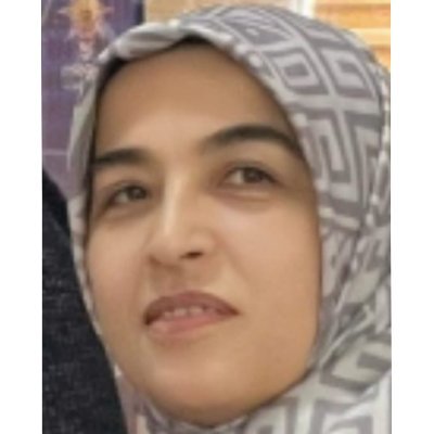 Cemile Çelikel's profile picture