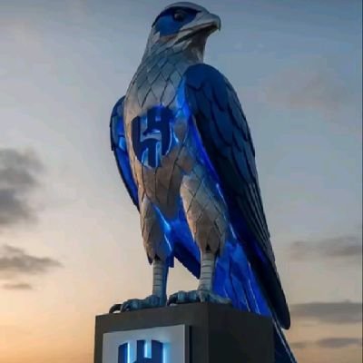 ALsiyali_'s profile picture