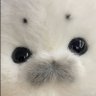 Profilbild von ちゃん
