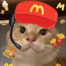 StinkyCat🔶 BNB（哈基米版） 的头像