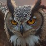 Futura's profile picture