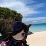 Profilbild von りくしい