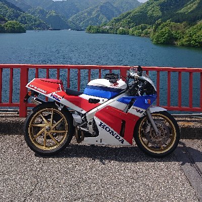 daisyarin20021's profile picture