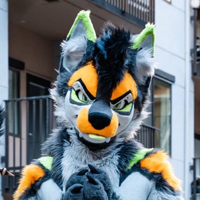 dumbangrydog's profile picture