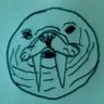 Disco Walrus profil fotoğrafı