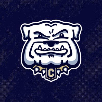 Chelsea HS Football's profile picture