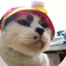 Profilbild von Rspen