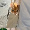 Фото профиля fren fren