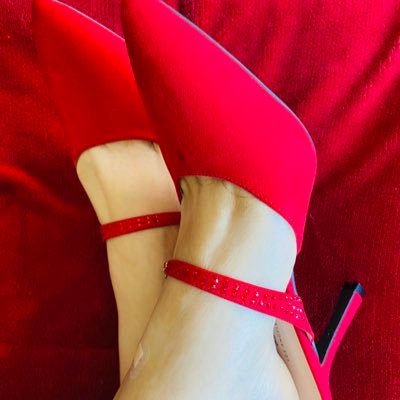 MissVitt's profile picture