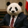Kung Fu Panda profil fotoğrafı