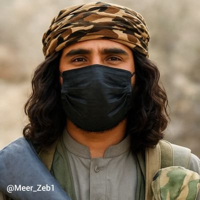 Meer Zeb| بلوچ🕊's profile picture