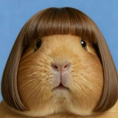 người biết ăn cu's profile picture