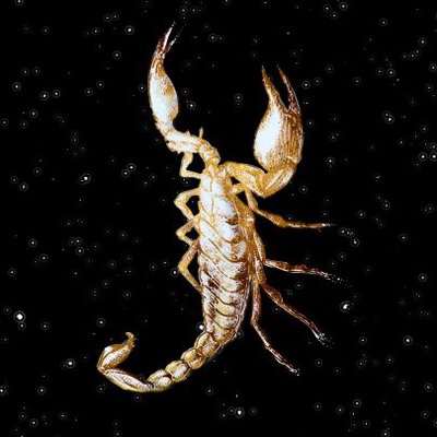 constat_concept's profile picture