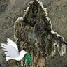 Фото профиля محمد القادري