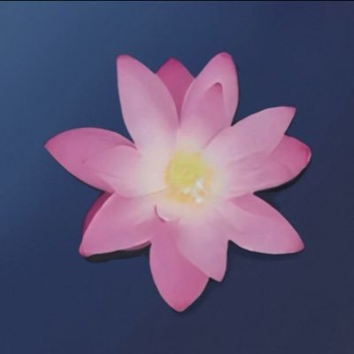 符樱FUFU's profile picture