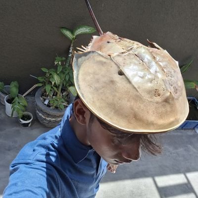 critterposting's profile picture