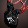 Land to the tiller✊🏾 的头像