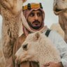 أحمد اللغبي 的头像