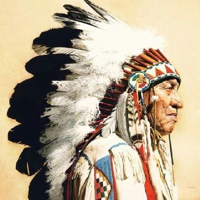 Native American History's profile picture