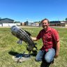 Bill Oberlander's profile picture