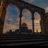 يوسف ضبعان profil fotoğrafı