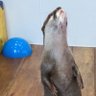 まさまさ 的头像