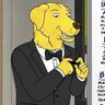 Nicolas's profile picture