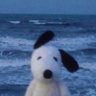 Profilbild von dia rhea