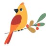 Profilbild von Lady bird