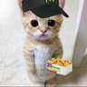 Profilbild von Kamx