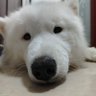 Calvin 赚大钱's profile picture