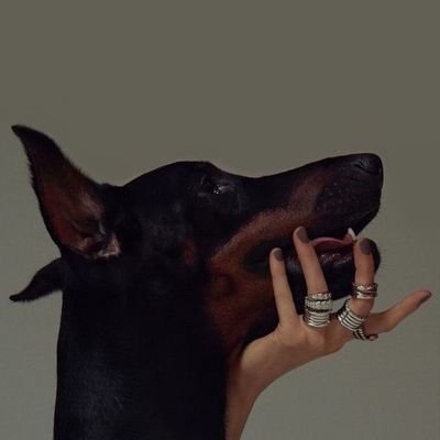 Raye's profile picture